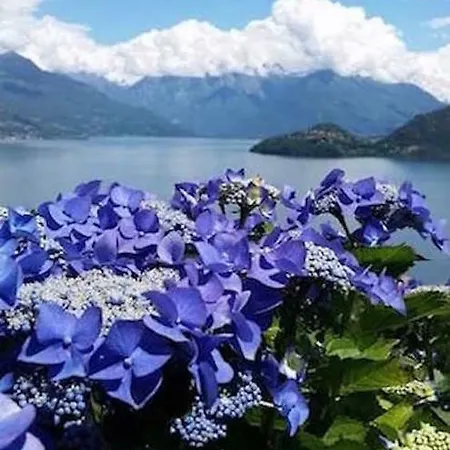 Piccolo Paradiso Apartament *