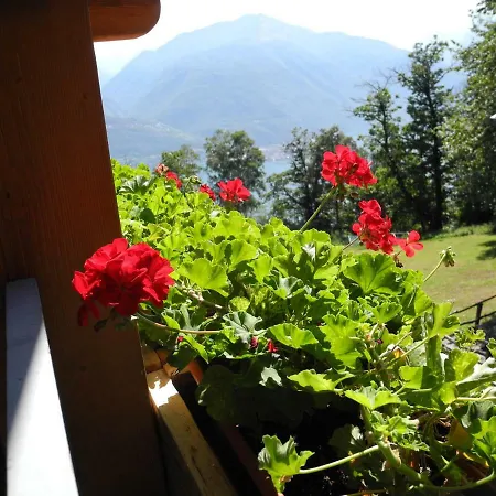 Piccolo Paradiso Apartament *