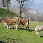 Piccolo Paradiso * Pianello Del Lario