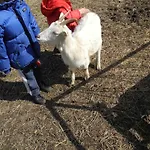 Διαμέρισμα Piccolo Paradiso Pianello Del Lario