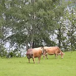 Piccolo Paradiso Pianello Del Lario