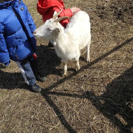 Apartmán Piccolo Paradiso Pianello Del Lario
