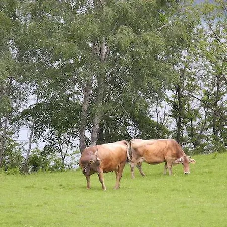 Piccolo Paradiso Pianello Del Lario