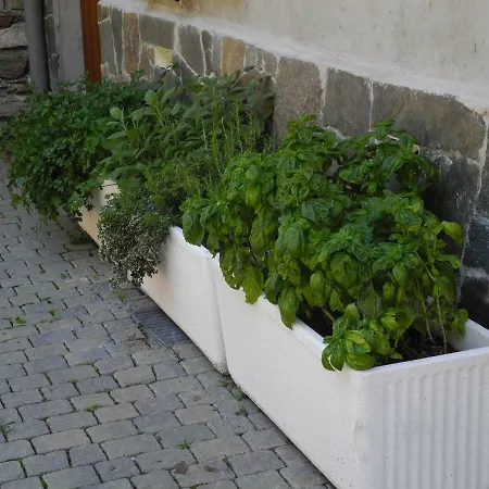 Апартаменты Piccolo Paradiso