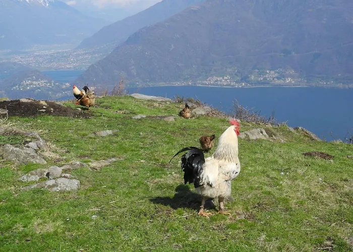 Piccolo Paradiso * Pianello Del Lario